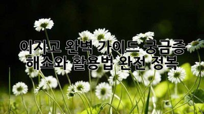 이지고 완벽 가이드: 궁금증 해소와 활용법 완전 정복!